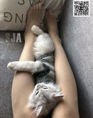 男男Gay视频_蓝光最新电影在线观看